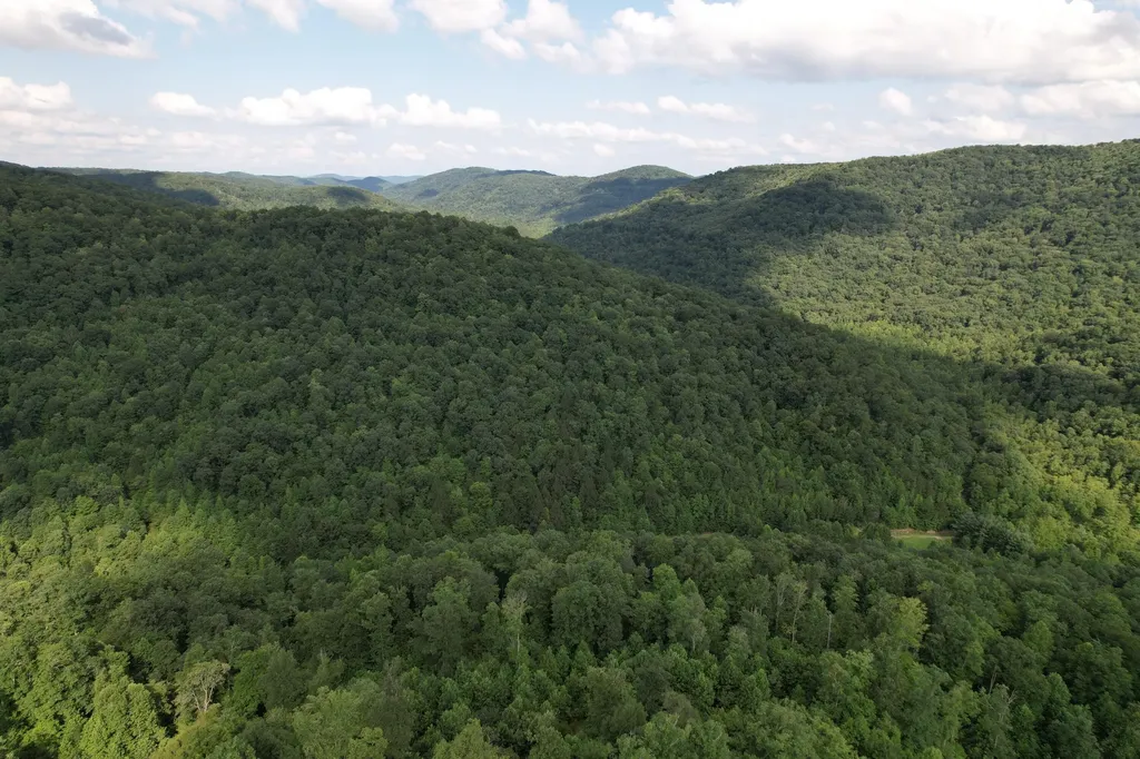 0 Little Rock Creek Road Strunk KY 42649