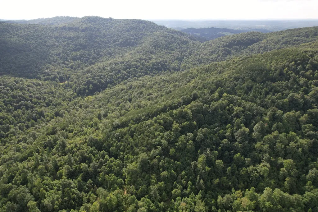 0 Little Rock Creek Road Strunk KY 42649
