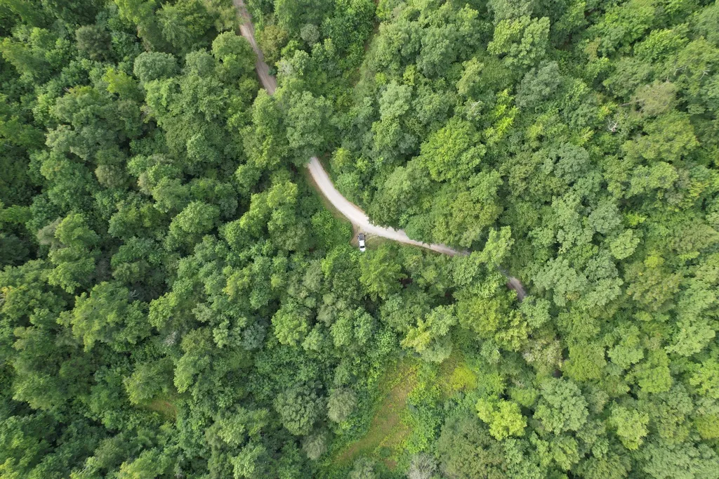 0 Little Rock Creek Road Strunk KY 42649