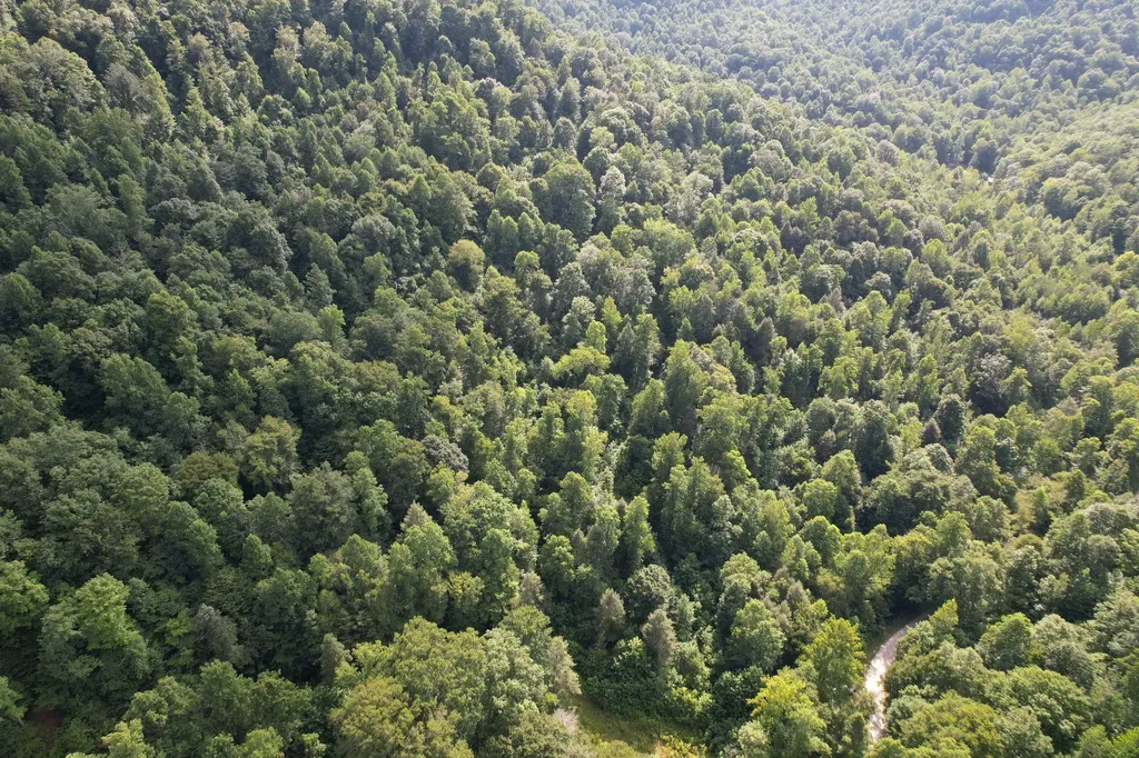 0 Little Rock Creek Road Strunk KY 42649