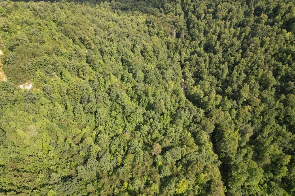 0 Little Rock Creek Road Strunk KY 42649
