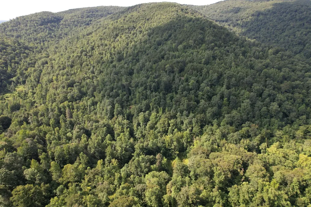 0 Little Rock Creek Road Strunk KY 42649