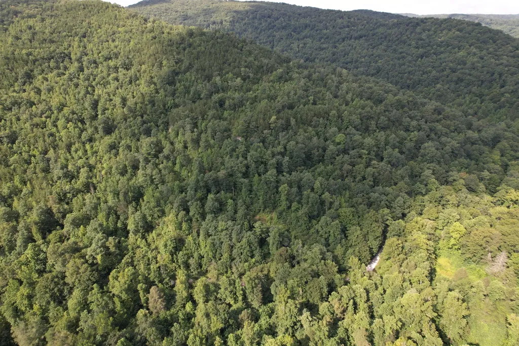 0 Little Rock Creek Road Strunk KY 42649