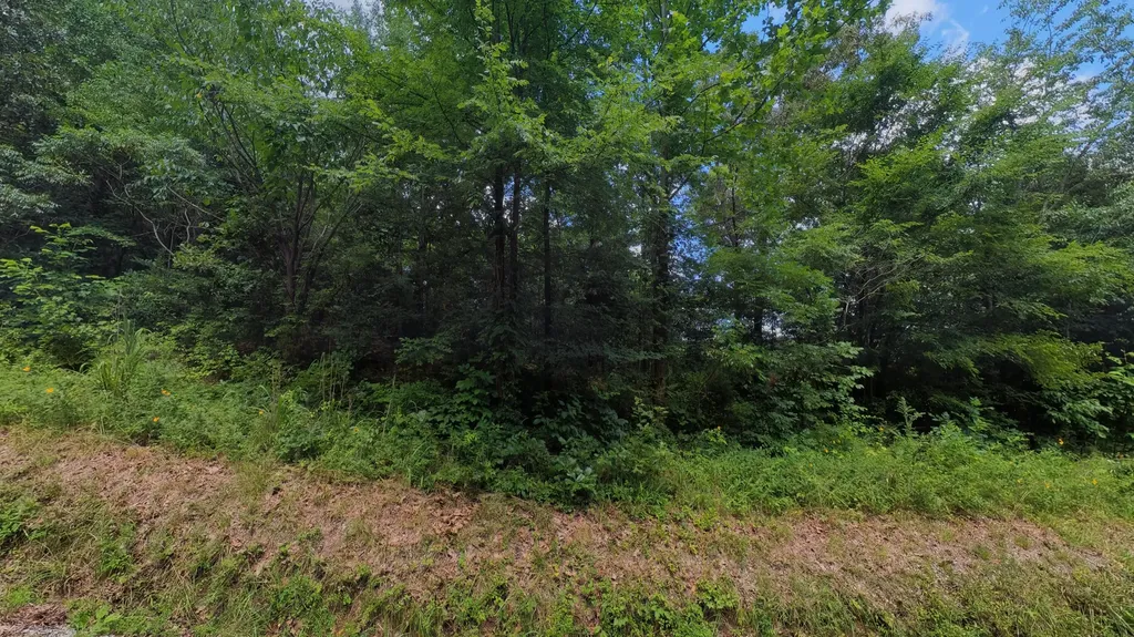 457 Pitcher Road Morgantown KY 42261