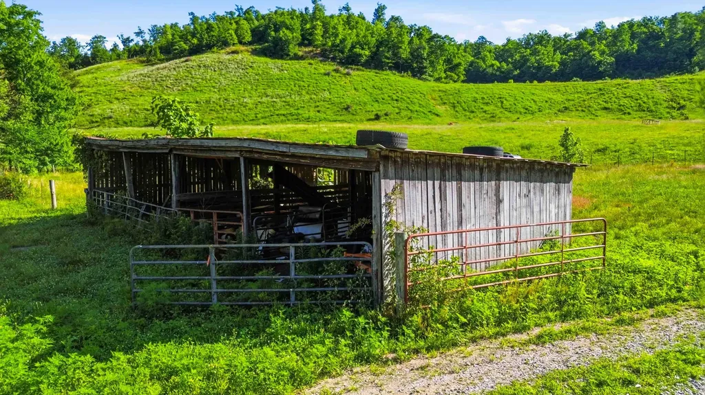 4664 Maple Creek Road Williamsburg KY 40769