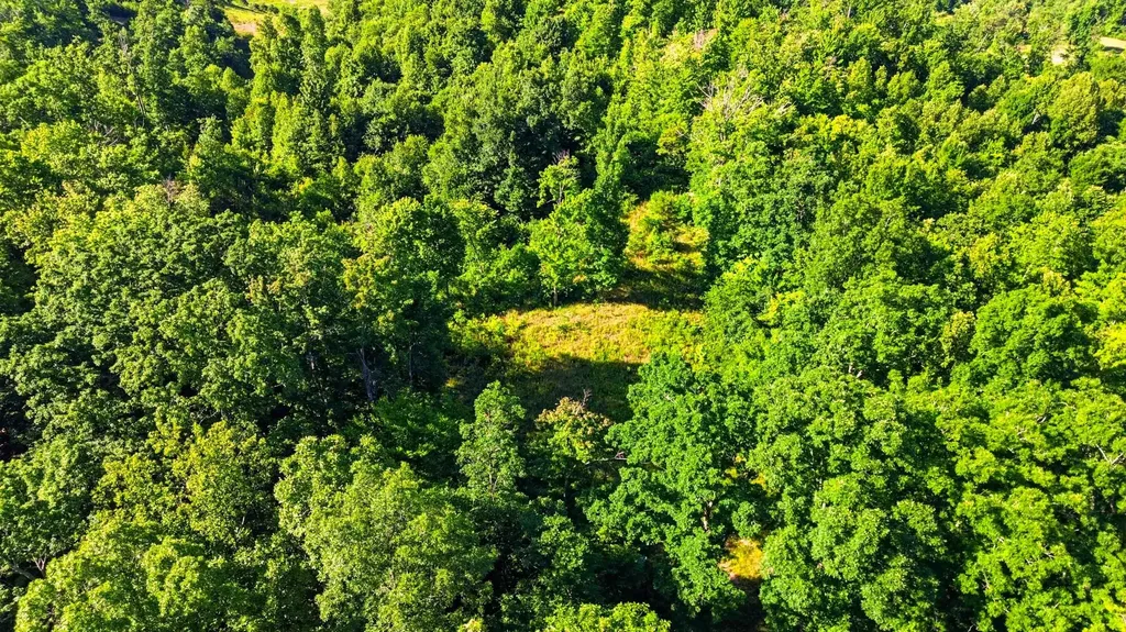 4664 Maple Creek Road Williamsburg KY 40769