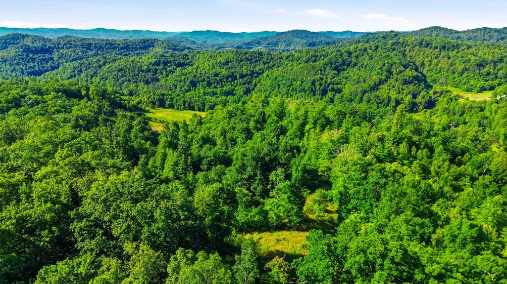 4664 Maple Creek Road Williamsburg KY 40769