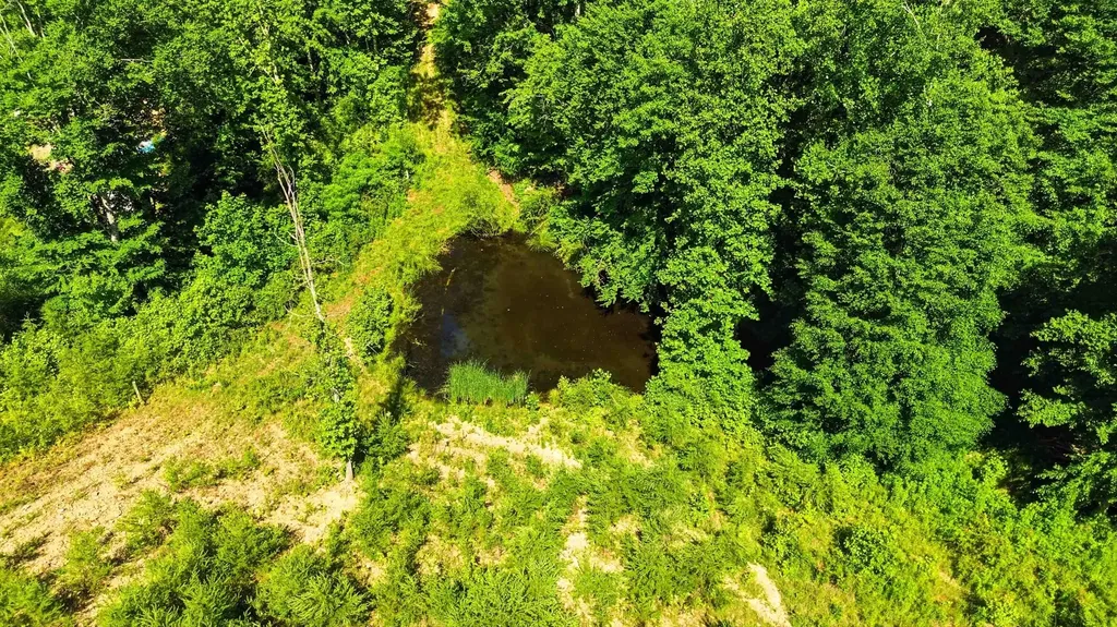 4664 Maple Creek Road Williamsburg KY 40769