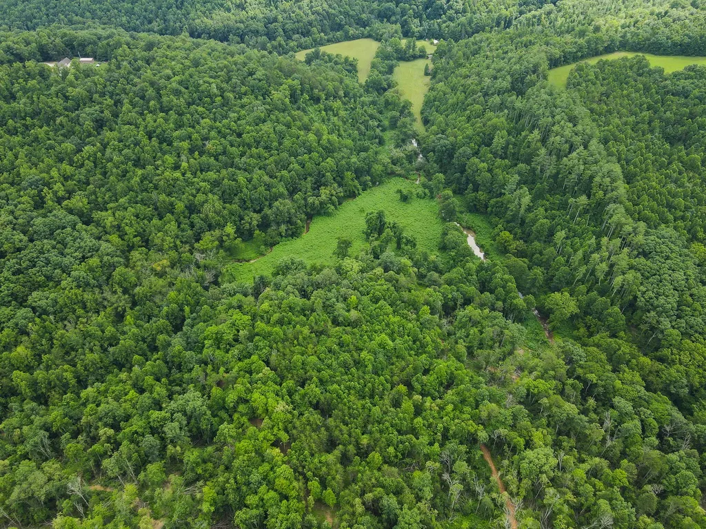 0000 Old Mount Zion Road Williamsburg KY 40769