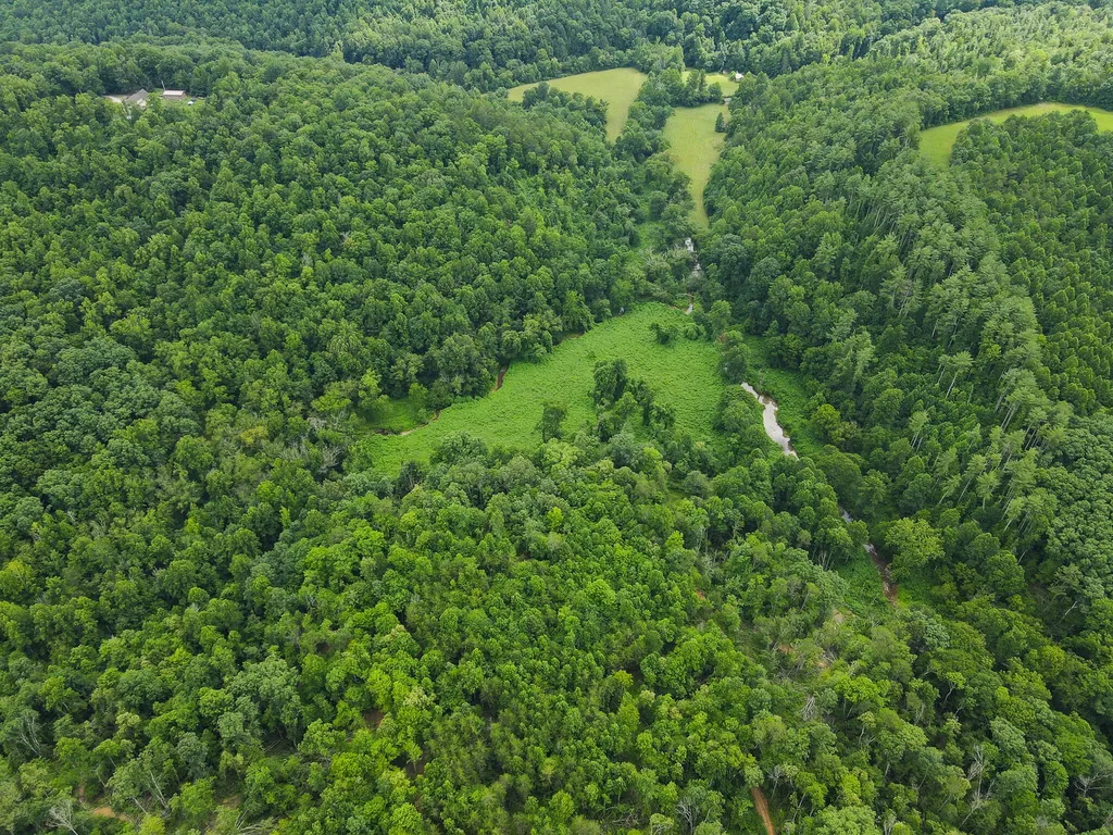 0000 Old Mount Zion Road Williamsburg KY 40769