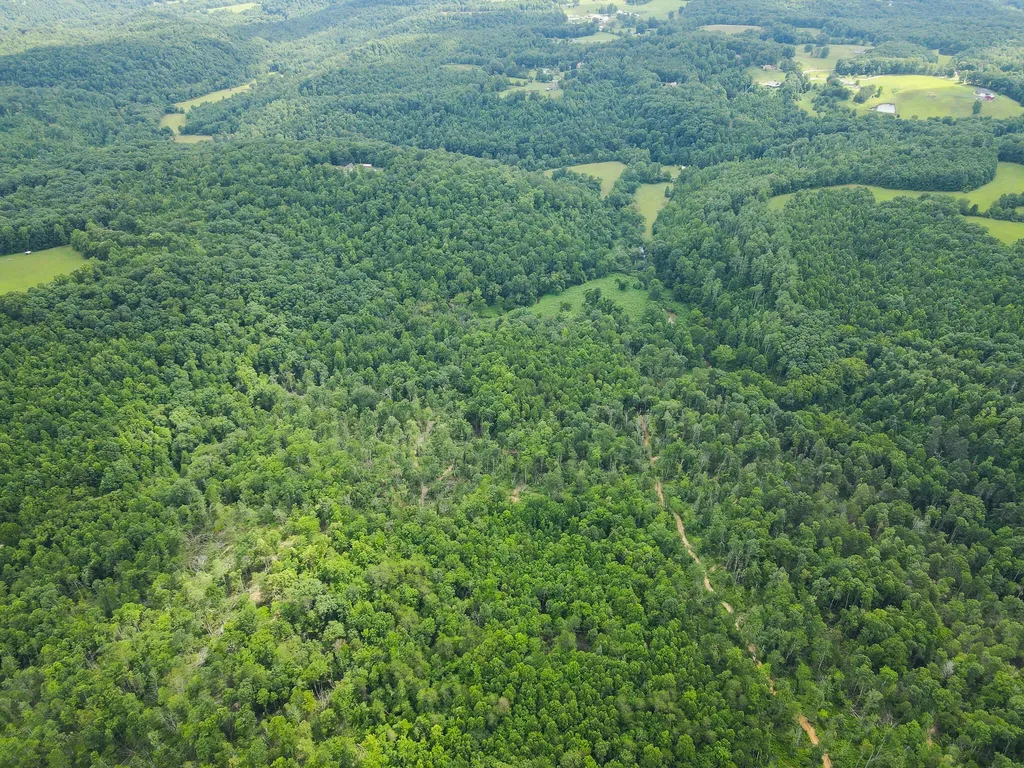 0000 Old Mount Zion Road Williamsburg KY 40769