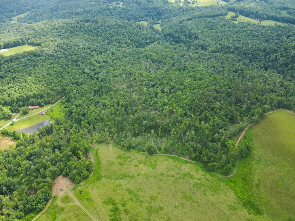 0000 Old Mount Zion Road Williamsburg KY 40769