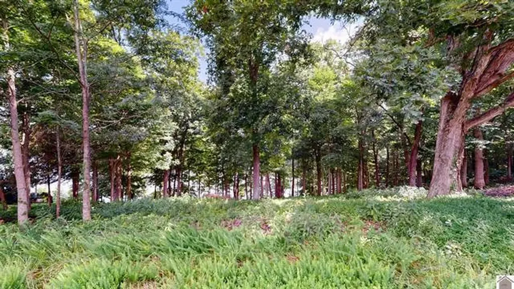Lot 138 Crystal Creek Drive Cadiz KY 42211