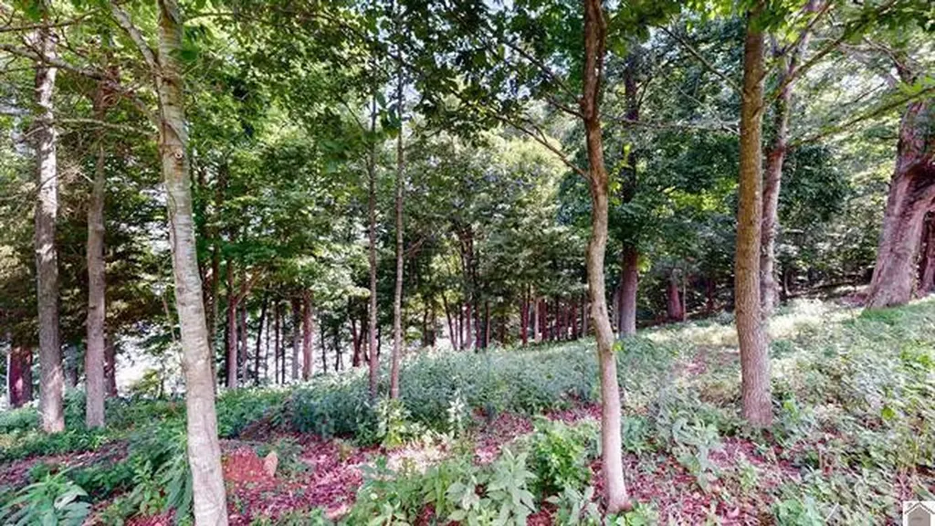 Lot 138 Crystal Creek Drive Cadiz KY 42211