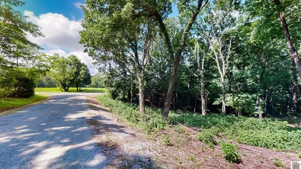 Lot 138 Crystal Creek Drive Cadiz KY 42211