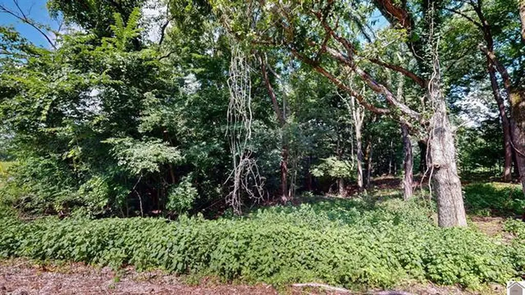 Lot 138 Crystal Creek Drive Cadiz KY 42211