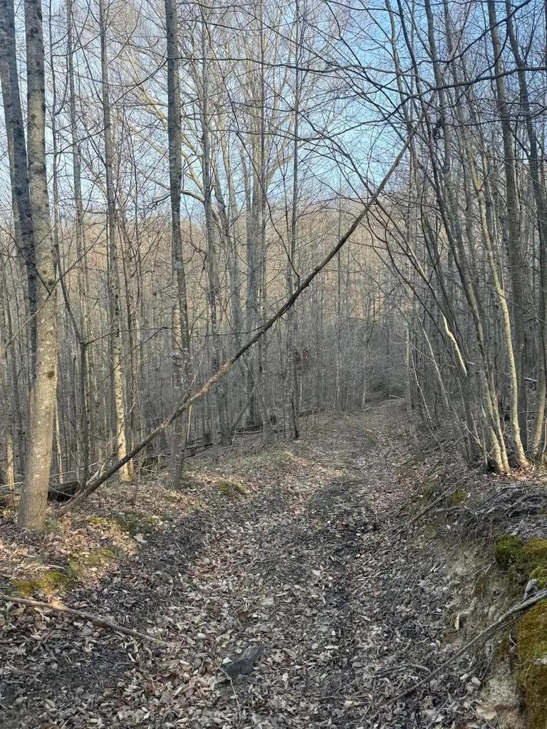 1800 Highway 1955 Mckee KY 40447