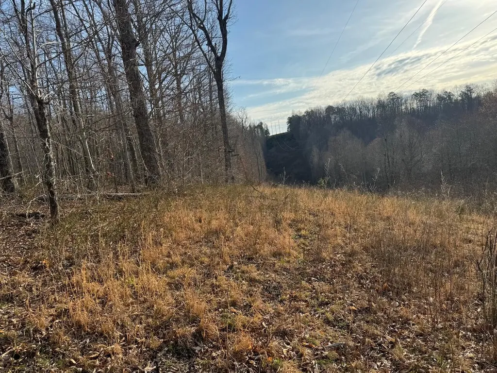 1800 Highway 1955 Mckee KY 40447
