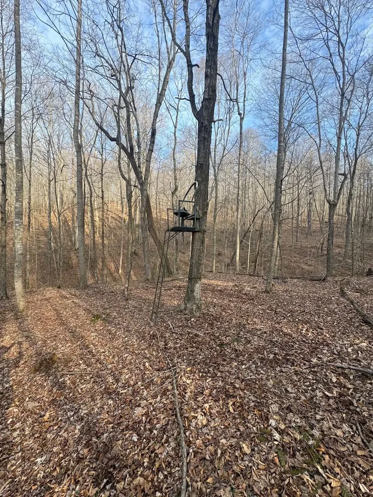 1800 Highway 1955 Mckee KY 40447