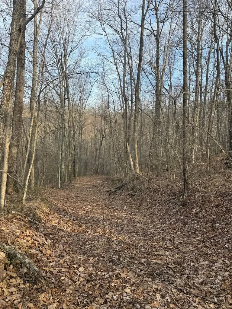 1800 Highway 1955 Mckee KY 40447