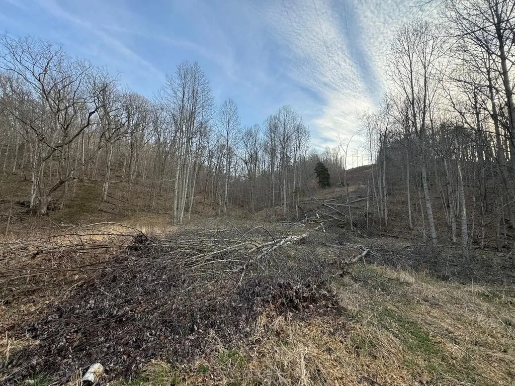 1800 Highway 1955 Mckee KY 40447