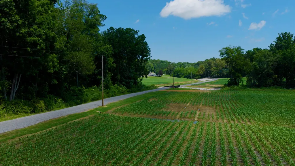 5279 E State Line Road Hazel KY 42049