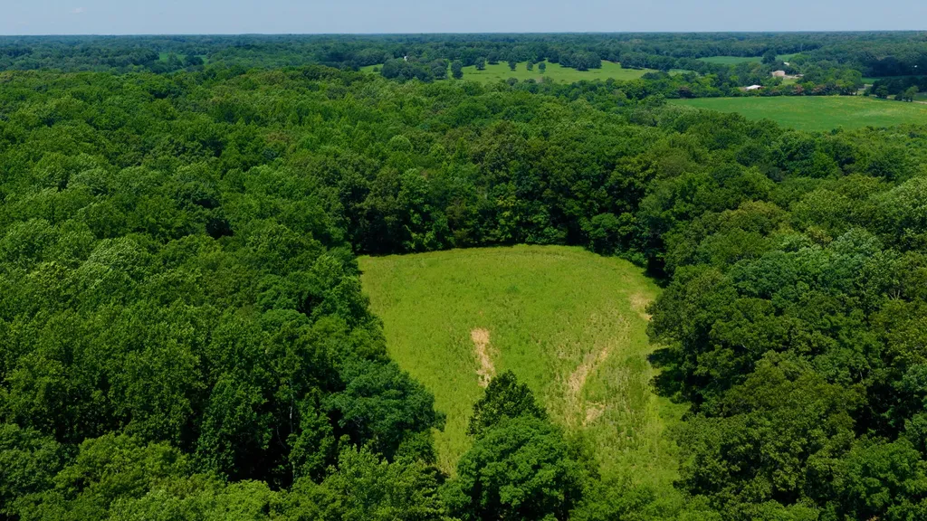 5279 E State Line Road Hazel KY 42049