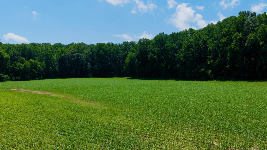 5279 E State Line Road Hazel KY 42049