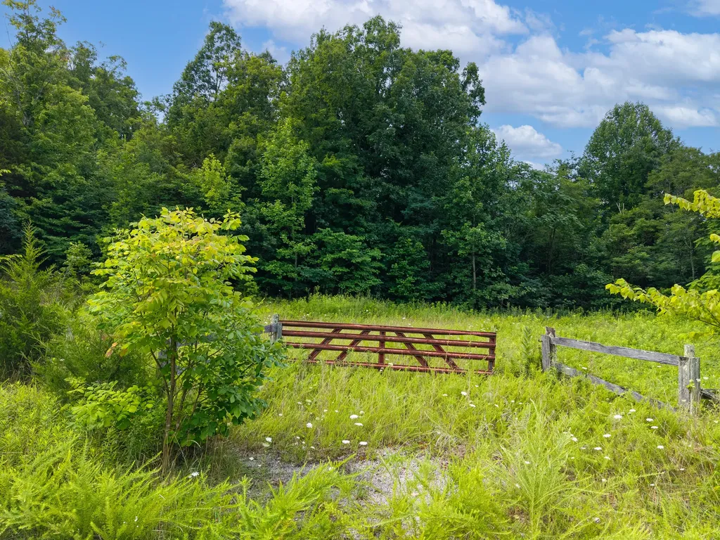 0 Shepperd Lane Monticello KY 42633