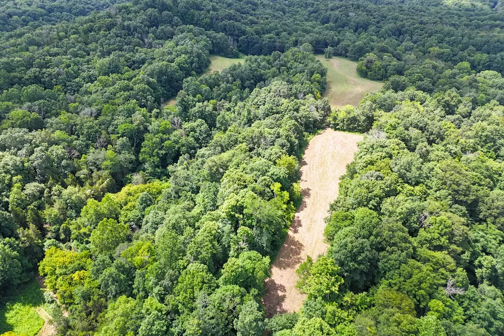 90 Trevor Lane Burkesville KY 42717