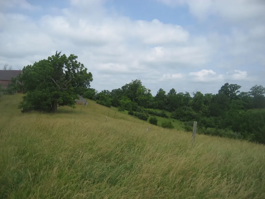 0000 Spider Road Berry KY 41003