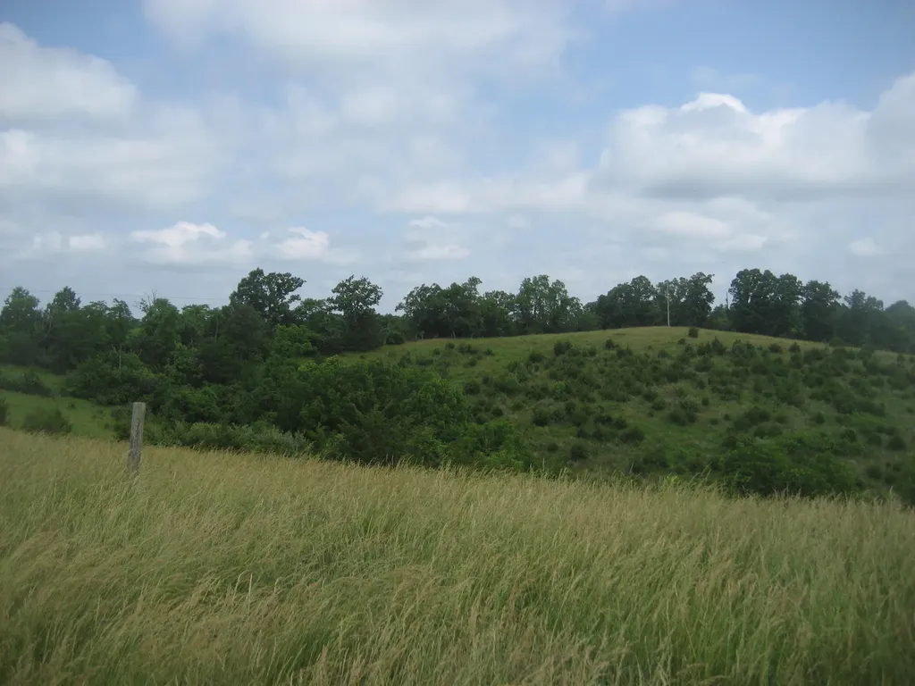 0000 Spider Road Berry KY 41003