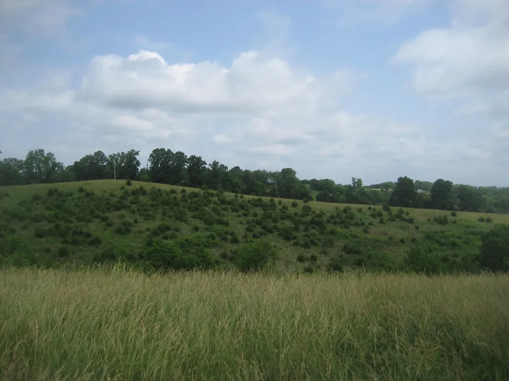 0000 Spider Road Berry KY 41003