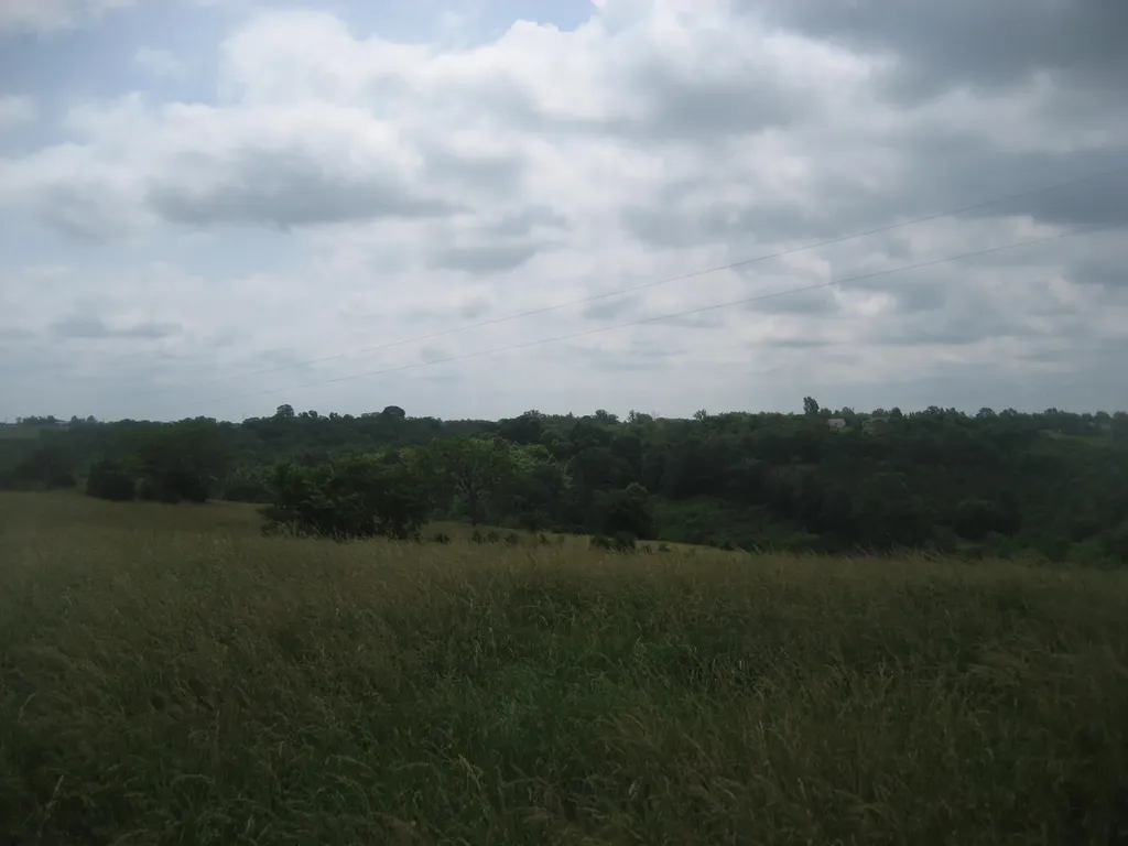 0000 Spider Road Berry KY 41003
