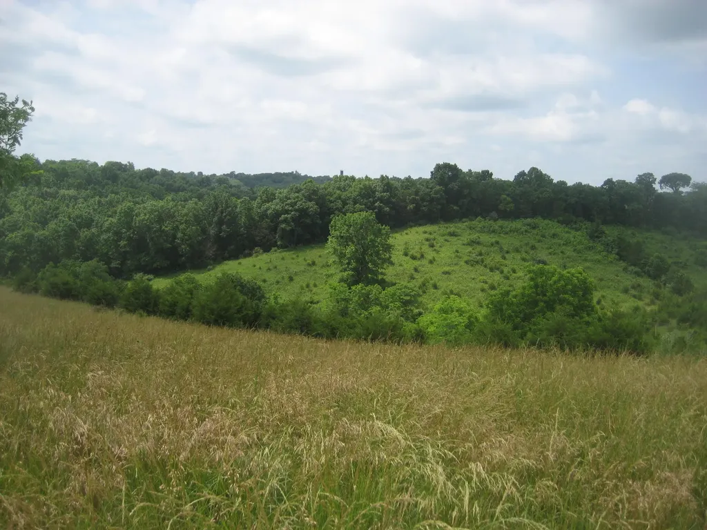0000 Spider Road Berry KY 41003