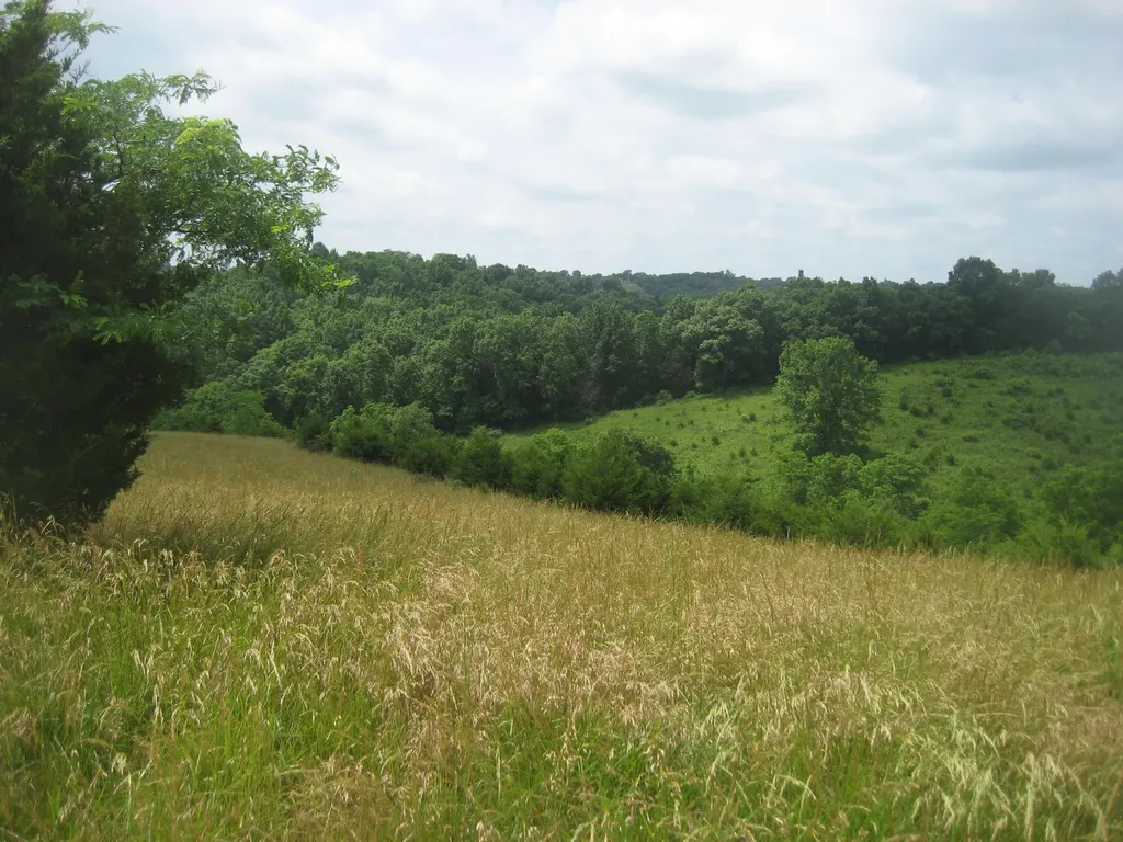 0000 Spider Road Berry KY 41003