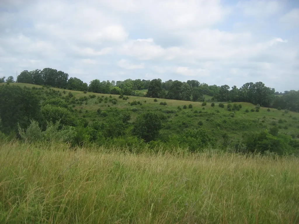 0000 Spider Road Berry KY 41003