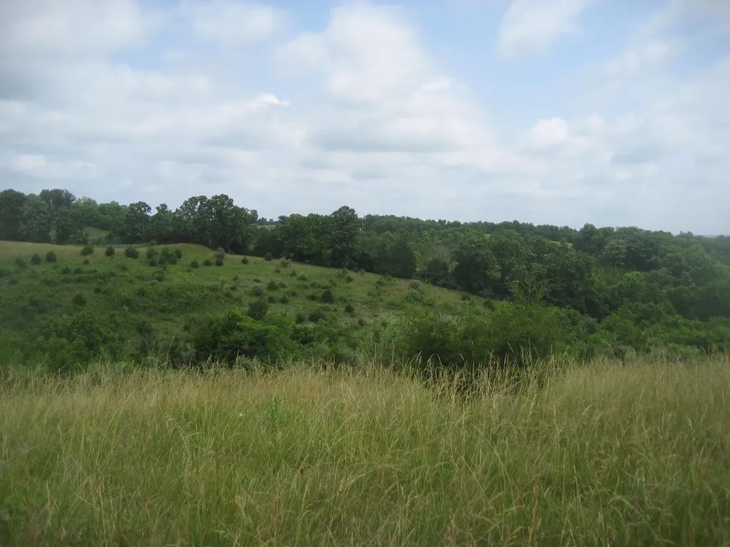 0000 Spider Road Berry KY 41003