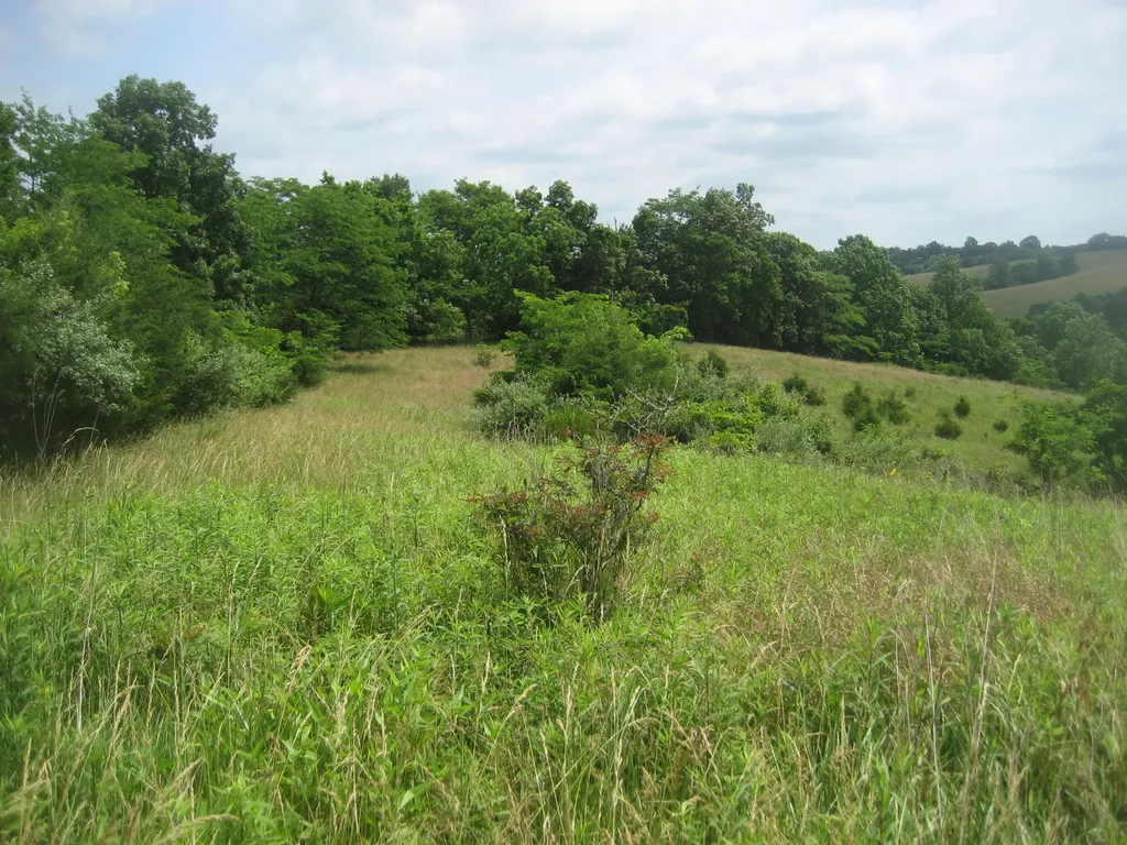 0000 Spider Road Berry KY 41003