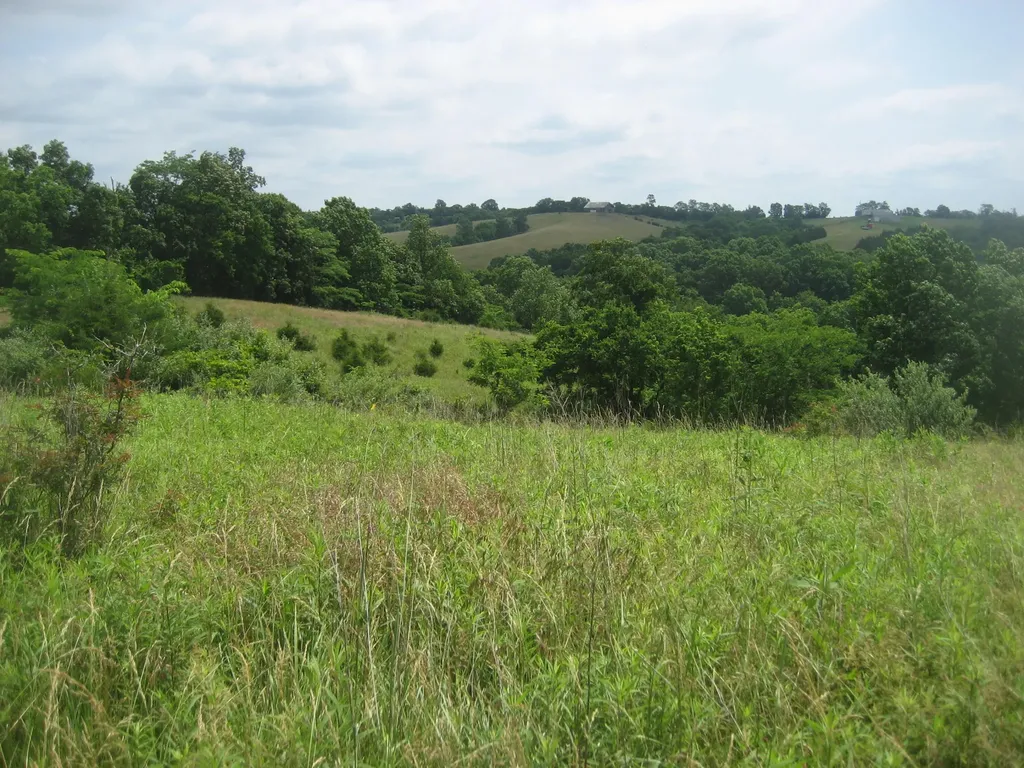 0000 Spider Road Berry KY 41003