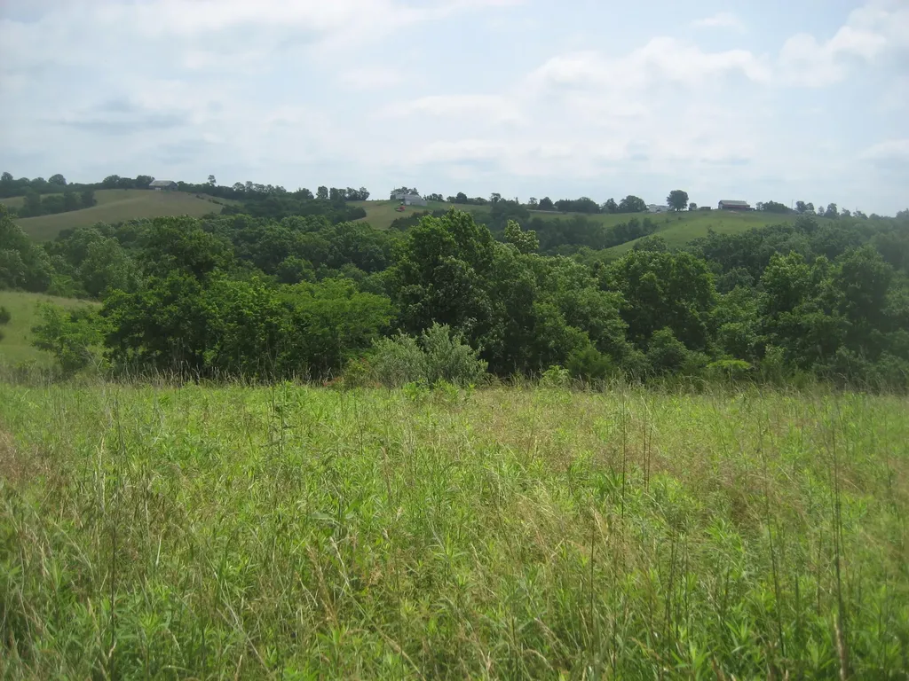 0000 Spider Road Berry KY 41003