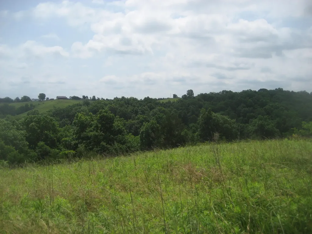 0000 Spider Road Berry KY 41003