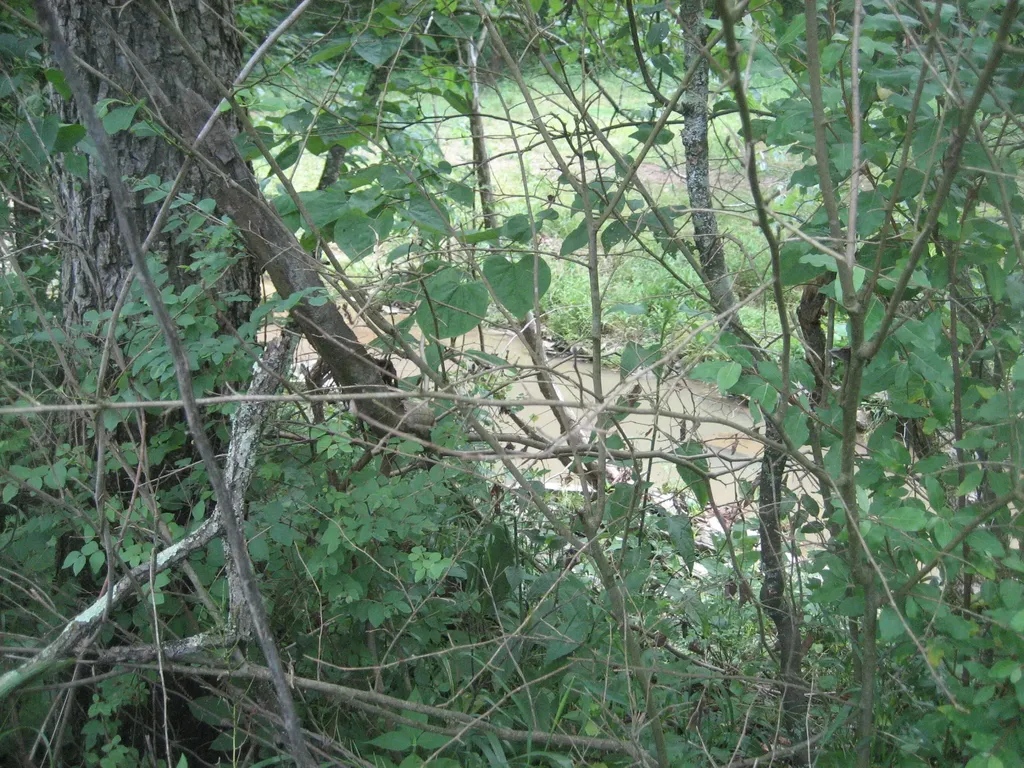 0000 Spider Road Berry KY 41003