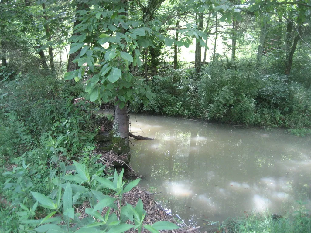 0000 Spider Road Berry KY 41003