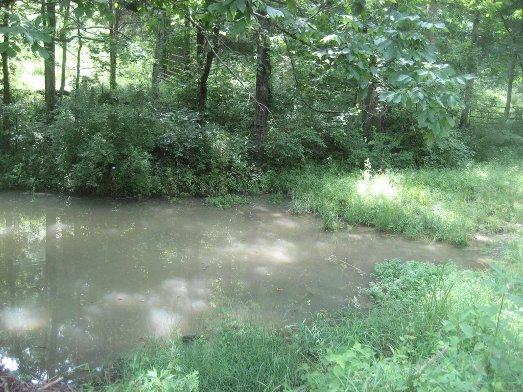 0000 Spider Road Berry KY 41003