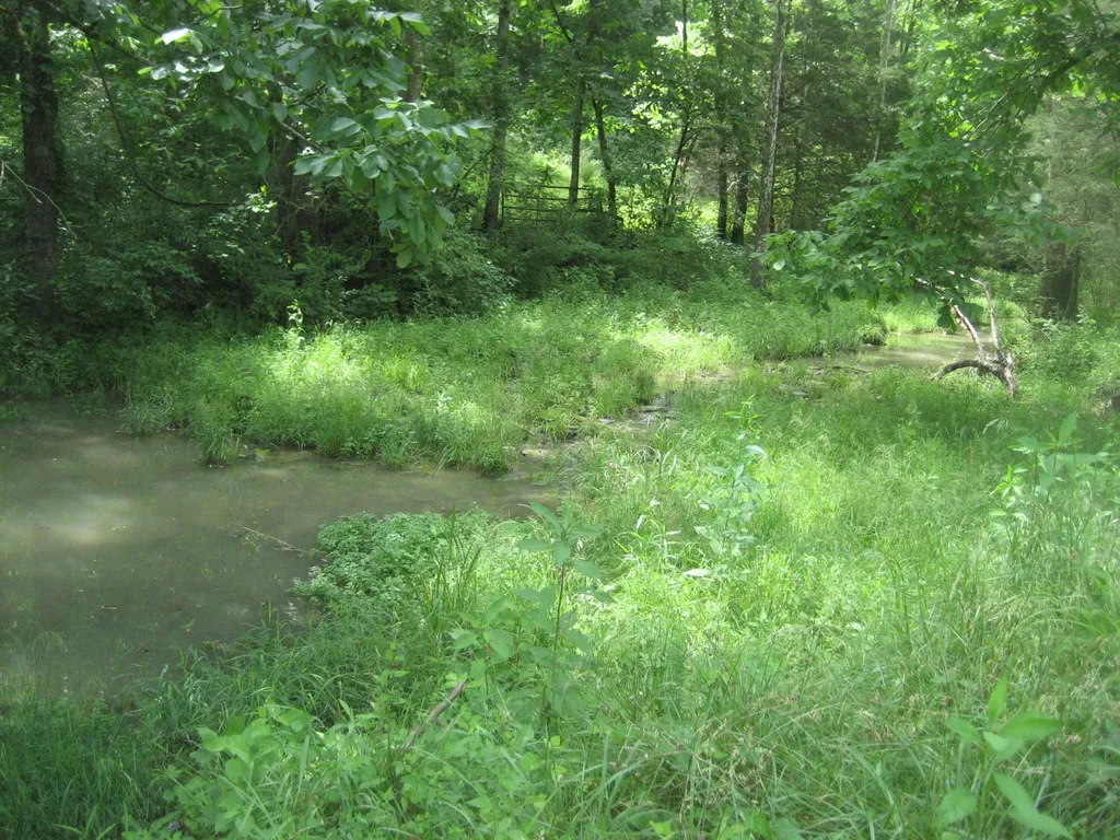 0000 Spider Road Berry KY 41003