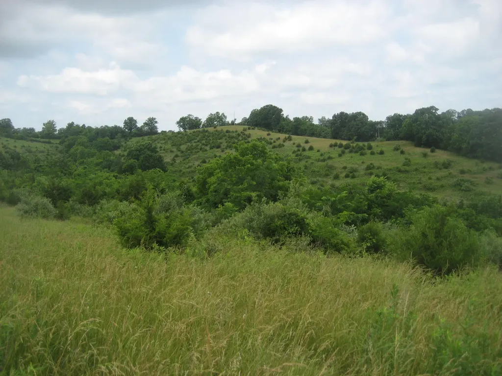 0000 Spider Road Berry KY 41003