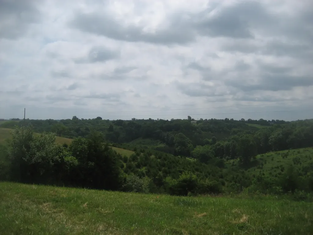 0000 Spider Road Berry KY 41003