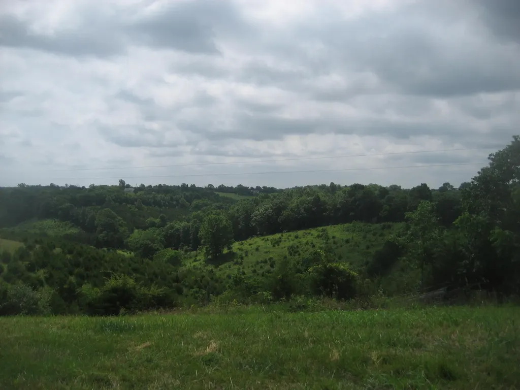 0000 Spider Road Berry KY 41003