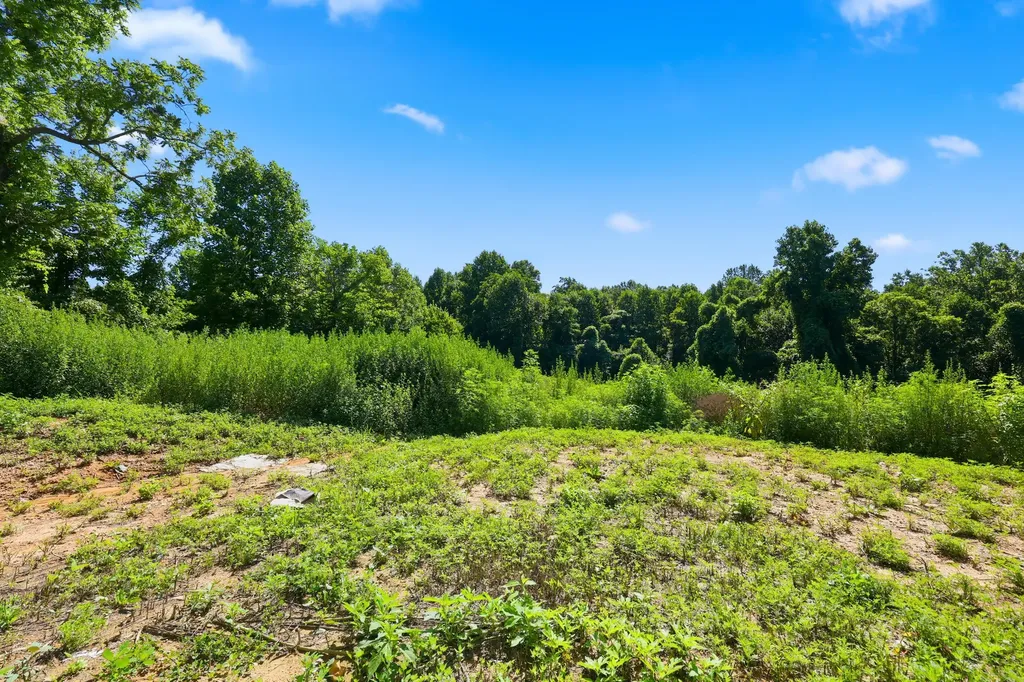 1846 Cream Ridge Road Junction City KY 40440